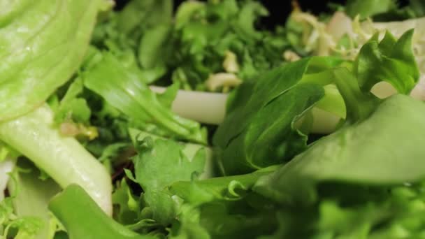 Taze Yeşil Salata Makro Kapaklı Kamera Hareketleri Sonda Mercekli Koyu — Stok video