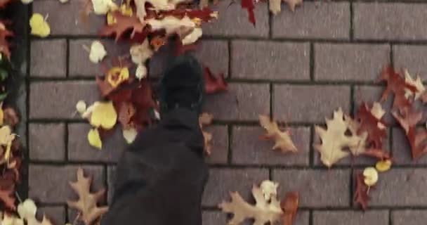 Jesienny Spacer Kopiący Opadłe Liście Chodniku Fps Materiał — Wideo stockowe