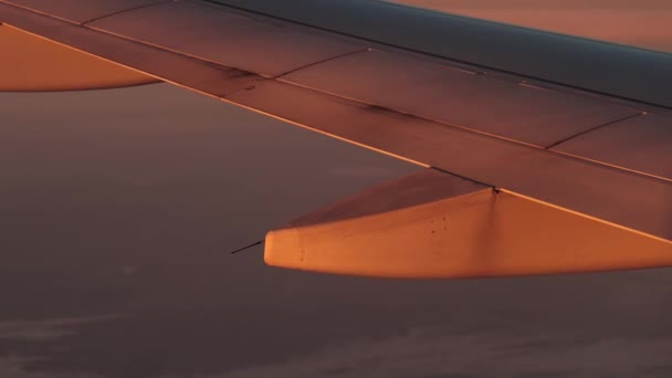 Early Morning Flight View Dramatic Sunrise Light Illuminating Wings Cinematic — Stock Video
