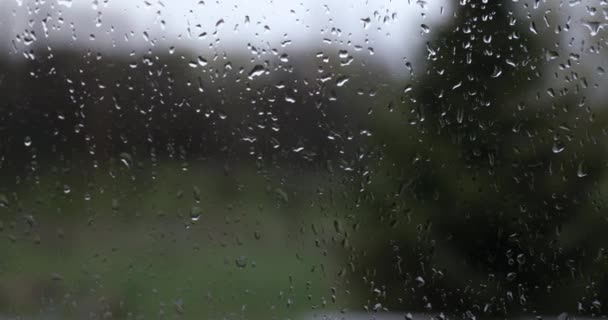 Krople Deszczu Powierzchni Okna Ponury Widok Zewnątrz — Wideo stockowe