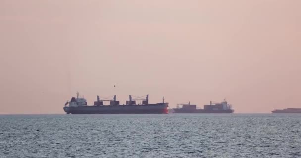 Esti Horizonton Távolról Érkező Ömlesztett Teherhajók Jogdíjmentes Stock Felvétel