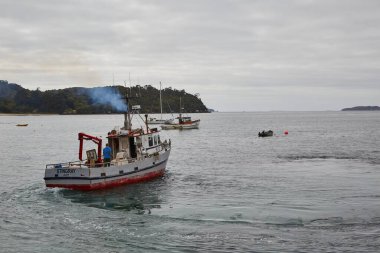 OBan, Yeni Zelanda - 16 Mart 2016: Oban, Yeni Zelanda Limanı, ülkenin Rakiura Stewart Adası 'ndaki en güneydeki yerleşim yeri