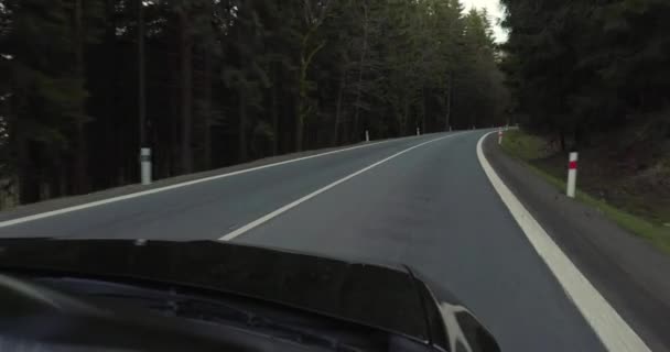 森のある山道で車を運転する — ストック動画