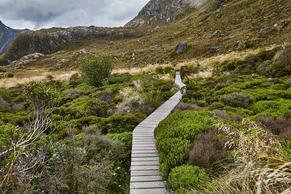 Routeburn Pisti boyunca yüksek dağ manzarası Yeni Zelanda Güney Adası 'nda harika yürüyüş yolu.