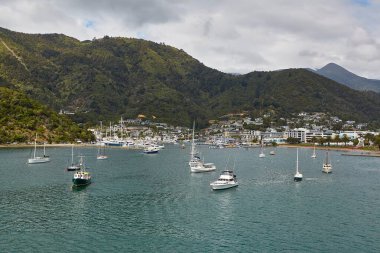 Picton, Yeni Zelanda, teknelerle bay