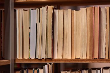 Kütüphanenin raflarında bir sürü kitap var.