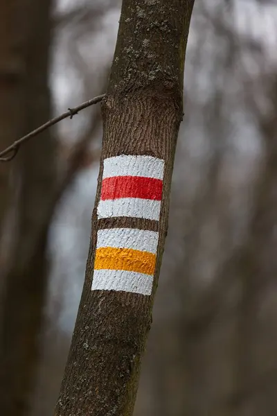 stock image Hiking trail signs in the forest, red and yellow trail, closeup of painted mark, pale autumn colors in dim light