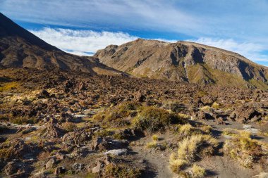 Tongariro Ulusal Parkı 'ndaki volkanik manzara, Yeni Zelanda, dağlarda yürüyüş parkı.