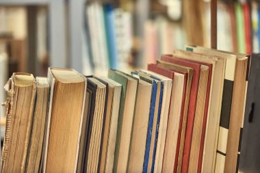 Kütüphane raflarında bir sürü kitap