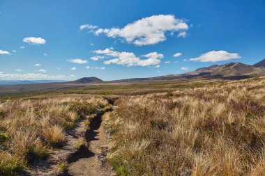 Tongariro Ulusal Parkı, Yeni Zelanda 'da volkanik manzaralar, harika yürüyüşler, Tongariro Alp Geçidi ve Kuzey Pisti.