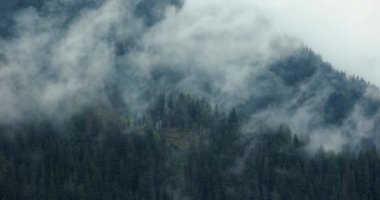 Dağ ladin ağaçlarından geçen sis ve bulutlar, sisli manzaralar, kasvetli hava, zaman aşımlı sinematik doğa görüntüleri.