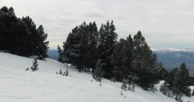 Kayak pistinde ağaçla karlı alp manzarası, alçalıyor