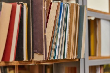 Kütüphanenin raflarında bir sürü kitap var.