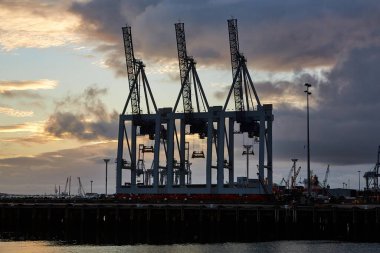 Yeni Zelanda 'nın Auckland limanındaki sanayi nakliye iskelesinde kargo vinçleri.