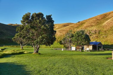 Plaj Yeni Zelanda 'da bir kamp alanı, Motutapu Adası, Home Bay