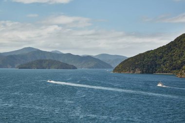 Picton Körfezi, Yeni Zelanda, Denizde tekneler