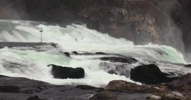 İsviçre, Ren Şelalesi 'nde şelale, Avrupa' nın en yüksek akış oranı, Schaffhausen, 4k 60 fps 'den yavaş çekim.