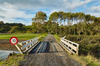 Yeşil Yeni Zelanda manzarası, Motutapu Geçidi 'ndeki küçük köprü adayı Rangitoto' ya bağlıyor.