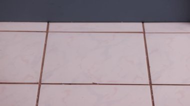 Mutfağa bir fincan kahve döküldü, sıcak içecek duvara sıçradı, 120 FPS görüntüden yavaş çekim.