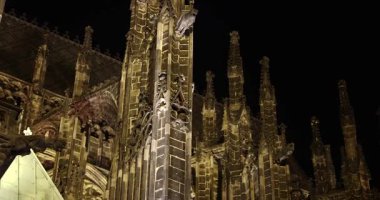Prag St. Vitus Katedrali Gotik kilise binası geceleri karanlık, dramatik, heykel ve heykellerle dolu kulelerde aydınlatılmış.