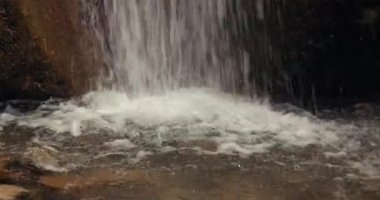 Ormanda şelale, yaz manzarası, yakınlaşan kamera.