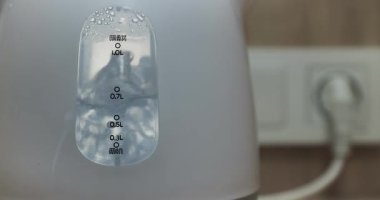 Sıcak içecekler için kaynama noktasında elektrikli su ısıtıcısı, mutfak tezgahına bağlı, çay ya da kahve yapıyor.