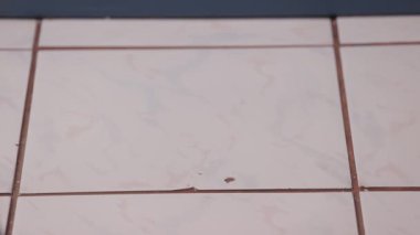 Mutfak zeminine bir fincan çay kırılması, sabahları kötü şans, 120 FPS çekiminden yavaş çekim.