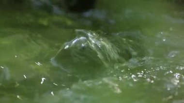 Küçük dağ deresi, ferah serin ve temiz su kaya, doğa üzerine sıçrıyor, yakın çekim 120fps çekim yavaş çekim, el değmemiş doğa