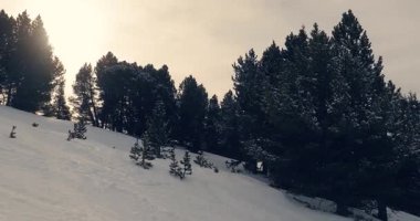 Kayak yamacında ağaçlarla kaplı karlı dağlık arazi, yavaşça alçalıyor.