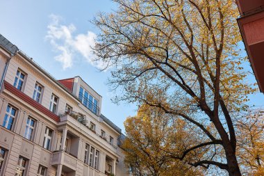 Berlin 'de bir şehir caddesinde binalar, sonbahar yapraklı ağaç dalları, apartmanlı hoş bir konak.
