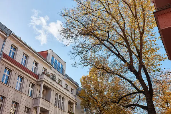 Berlin 'de bir şehir caddesinde binalar, sonbahar yapraklı ağaç dalları, apartmanlı hoş bir konak.