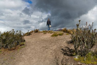 Andes, Ekvador 'daki Cotopaxi Milli Parkı' nda Ruminahui Dağı 'nda yürüyüş yaparken küçük bir tepenin üstünde duran adam...