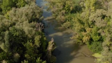 Yaz güneşinde kano Tisza Nehri geçidi, Tisza Gölü, Macaristan