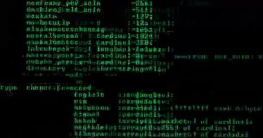 Ekranda kayan bilgisayar kaynak kodu, karakter modu konsol görüntüsü, programlama