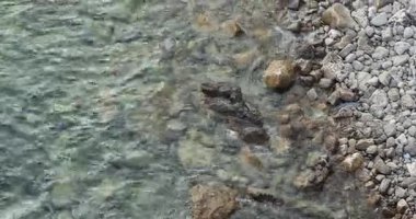 Deniz kıyısı temiz su yüzeyi ve kıyıda kaya çakıl taşları.