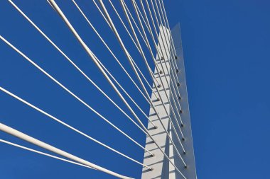 Köprü Rotterdam Erasmus kablo mimari detay kaldı