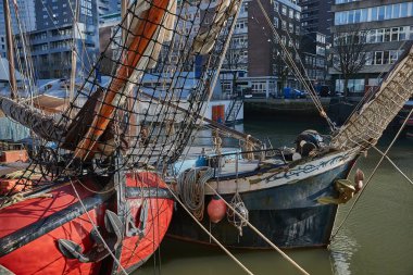 Rotterdam 'daki bir kanalda yelkenli gemiler.
