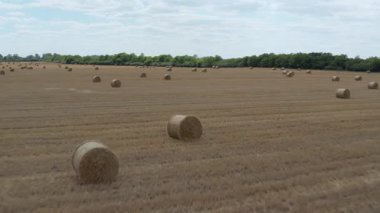 Saman yığınlarıyla kuru kırsal alan, havadan uçan insansız hava aracı.