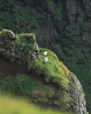 Faroe Adalarındaki Suduroy Adası