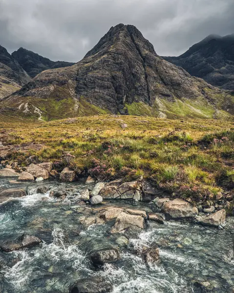 苏格兰斯凯岛仙人掌小径 免版税图库照片