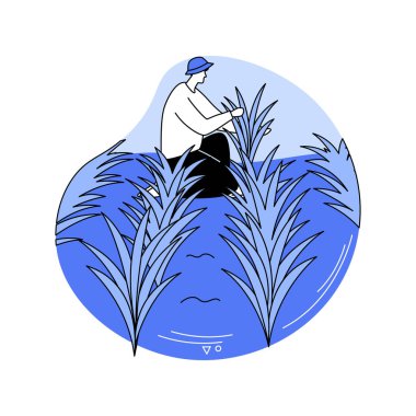 Pirinç, izole edilmiş karikatür çizimleri yetiştiriyor. Pirinç yetiştiren genç çiftçi, tarım hasat üretimi, tarım sektörü sanayi, işlem üretimi sektörü vektör karikatürü.