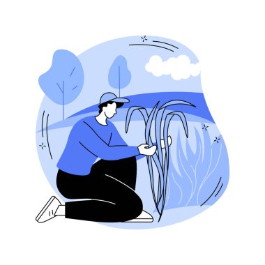 Şekerkamışı, izole edilmiş çizgi film çizimleri yetiştiriyor. Şeker kamışı ekimi, tarım endüstrisi, işleme üretim sektörü, büyüyen bitki vektör karikatürü ile uğraşan çiftçiler.