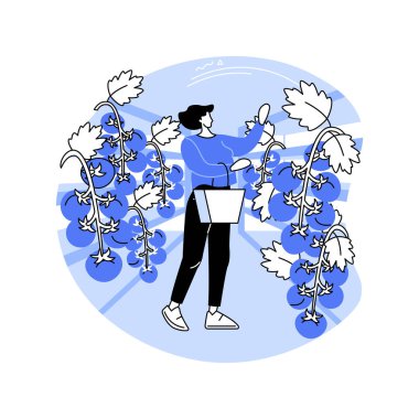 Domates serası karikatür vektör çizimleri. Serada domates yetiştiren kadın, tarım endüstrisi, tarım işçisi, işleme sektörü vektör karikatürü.
