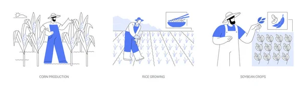 Raffinering Jordbruksprodukter Abstrakt Begrepp Vektor Illustration Set Majsproduktion Risodling Odling — Stock vektor