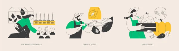 Home Gardening Abstraktes Konzept Vektor Illustration Set Gemüseanbau Gartenschädlinge Ernte — Stockvektor
