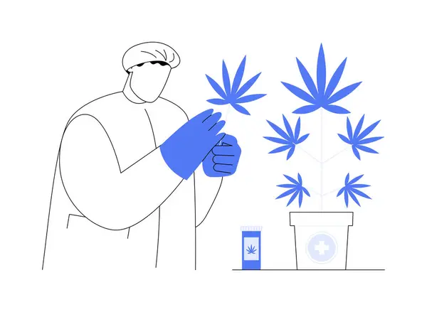 Medizinische Marihuana Produktion Abstraktes Konzept Vektor Illustration Wissenschaftler Der Medizinisches — Stockvektor