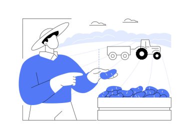 Patates, izole edilmiş karikatür çizimleri yetiştiriyor. Tarlada patates yetiştiren çiftçi, tarım endüstrisi, tarım sektörü, üretim sektörü, sebze yetiştiren vektör karikatürü.