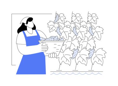 Hidrofonik salatalık üretimi karikatür vektör çizimlerini izole etti. Serada salatalık yetiştiren çiftçi, tarım endüstrisi, sebze işleme sektörü vektör karikatürü.