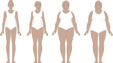 Çeşitli kadın vücut tipleri. Kadın figürleri ve şekilleri. İnsan vücudu ölçüleri. Taslak vektör illüstrasyonu