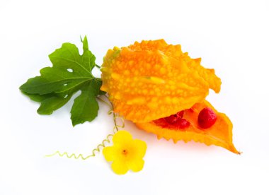 Olgun, açık acı kavunun (Momordica charantia) parlak sarı çiçekli ve yeşil yapraklı, beyaz arkaplanda izole edilmiş yakın plan görüntüsü. Kavun canlı bir turuncu-sarı renktir, desenli bir yüzeyi ve içinde kırmızı tohumları vardır..
